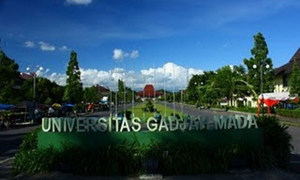 UGM Kembangkan Nyamuk Anti-deman Berdarah